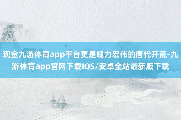 现金九游体育app平台更是魄力宏伟的唐代开荒-九游体育app官网下载IOS/安卓全站最新版下载